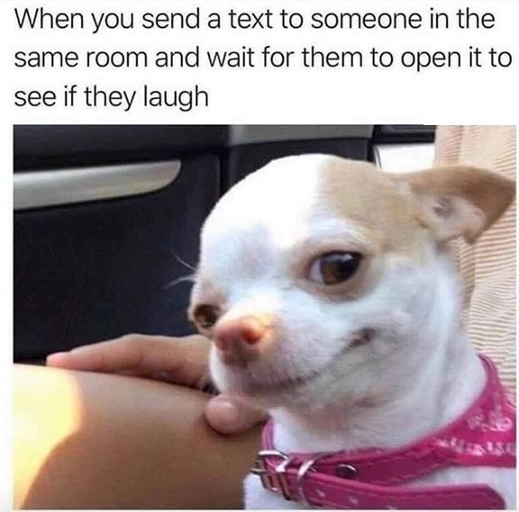 laughing-memes6