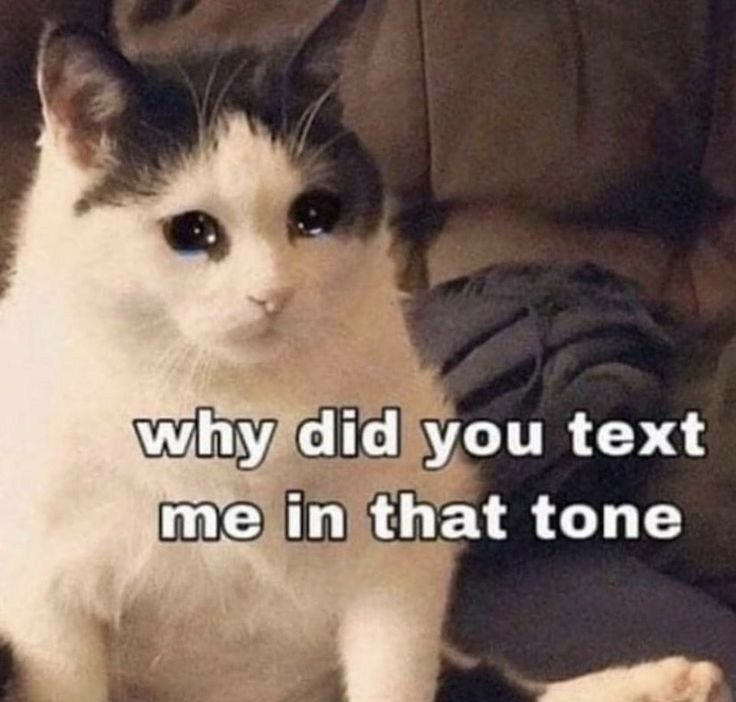 reaction-meme2