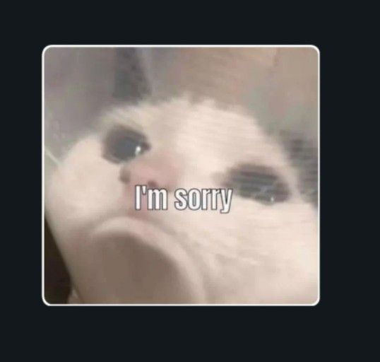 reaction-meme3