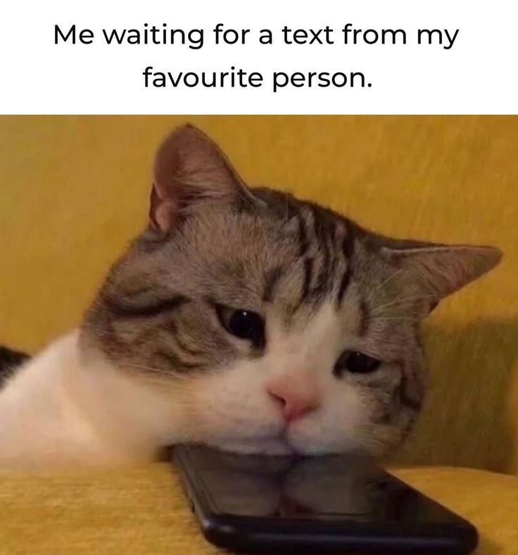 reaction-meme4